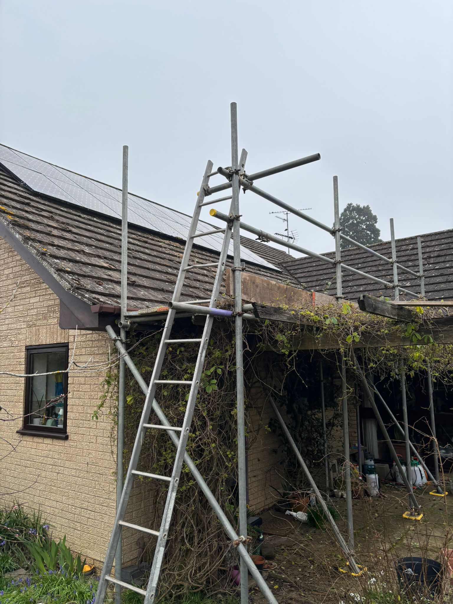 Scaffolding gallery image 8
